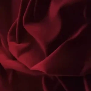 TERCIOPELO ALGODON BURDEOS MEDIO 640