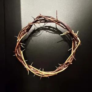 CORONA DE ESPINAS-02